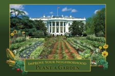 white-house-vegetable-garden.jpeg