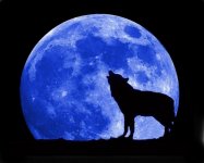 blue-moon-and-wolf.jpg