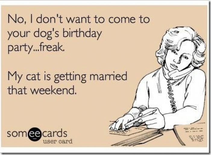 1720358419-Dogs-birthday-party-ecard.png