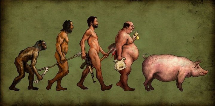 Evolution,+monkey+to+man+to+pig,+1.jpg