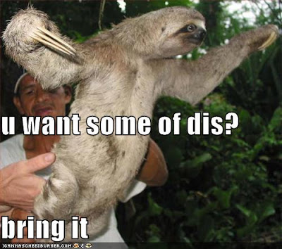 funny-pictures-angry-sloth.jpg