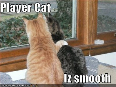 funny-pictures-player-cat-is-smooth.jpg