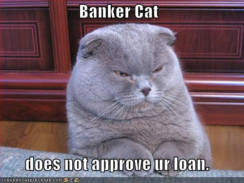 bankerlolcatfunny-pictures-banker-cat.jpg