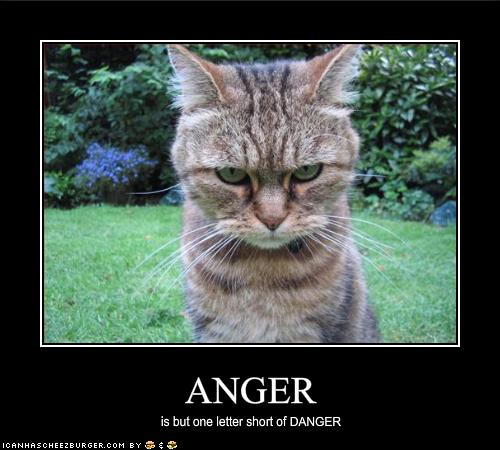 Anger__by_Chelseam2.jpg