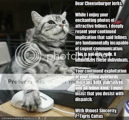 -letter-from-a-very-intelligent-cat.jpg