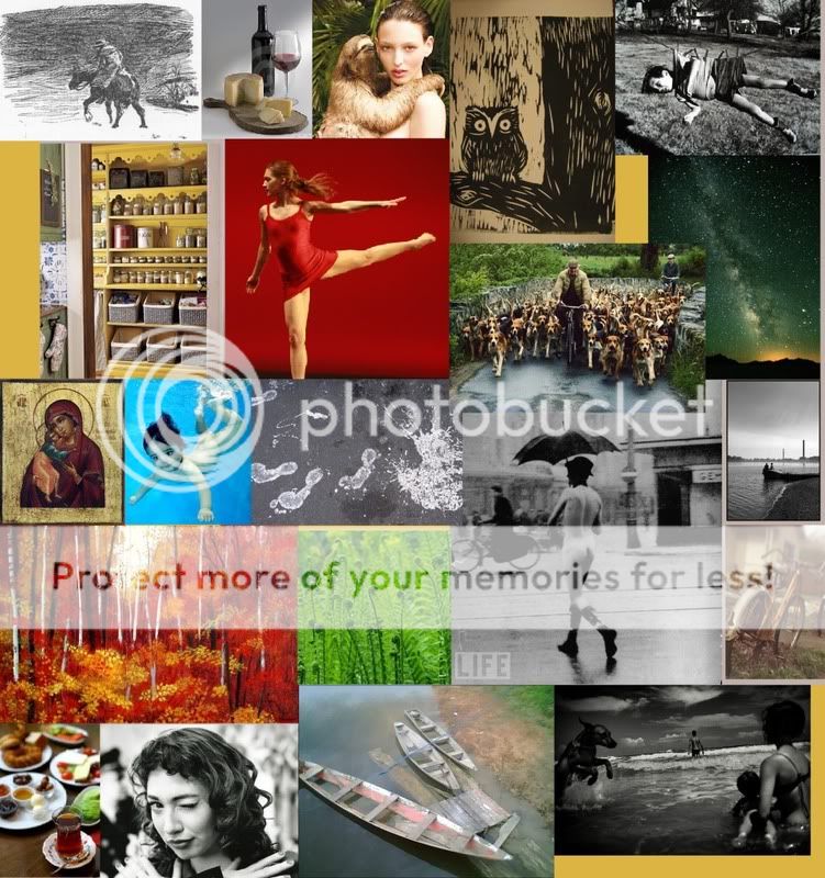collage2.jpg