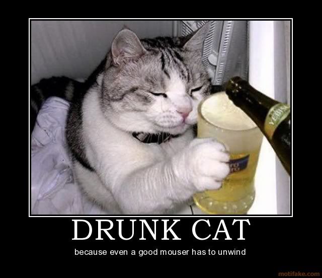 drunk-cat-drun-k-cat-beer-demotivational-poster-1253988022.jpg