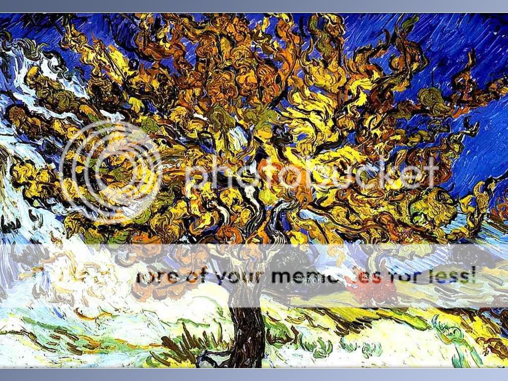 Van-Gogh-0011.jpg
