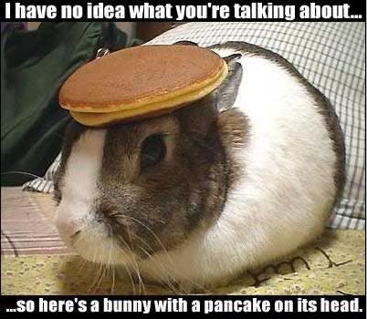 hamster-pancake.jpg