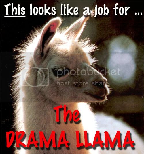 Drama_Llama.jpg