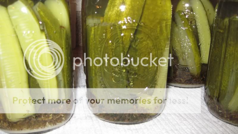 pickles0011.jpg
