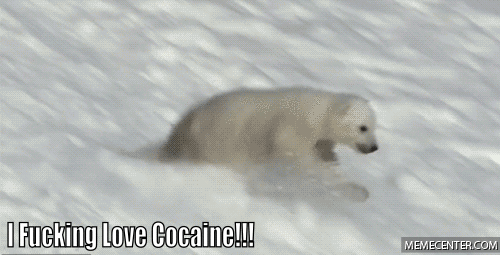 cocaine-bear-loves-cocaine_o_750363.gif