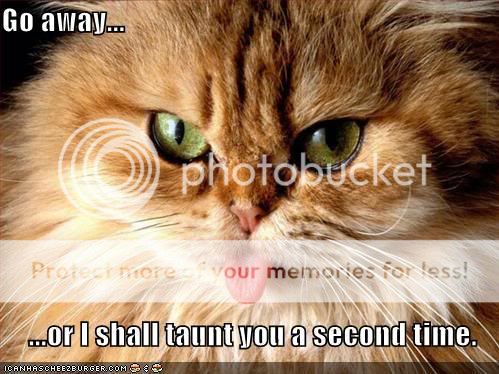 funny-pictures-orange-cat-tongue-ta.jpg