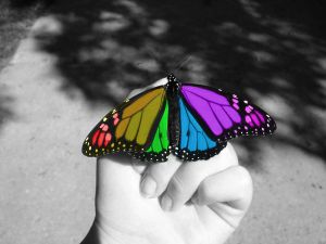 Color_Splash_Butterfly_by_MaliceUmbra.jpg