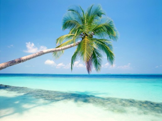 Tropical-Island-Background-520x390.jpg