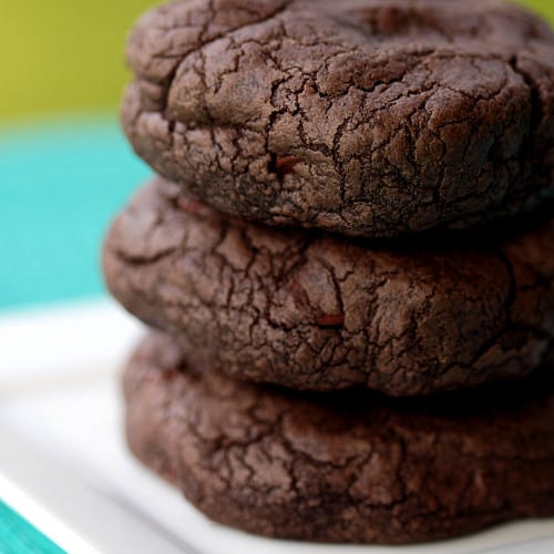 chocolate-chocolate-chip-cookie-recipe-500x500.jpg