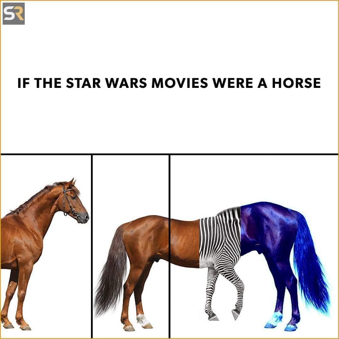 1000004797.jpg