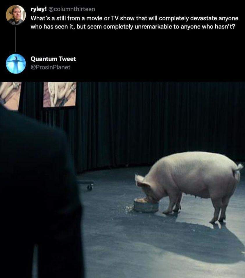 1000004933.jpg