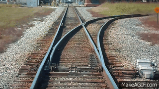 1662568759781.gif