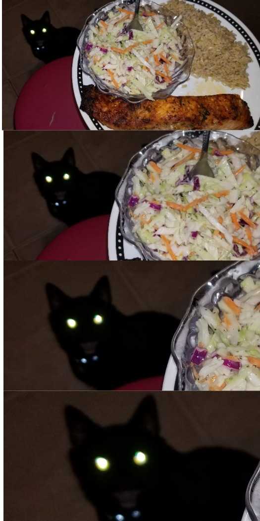 1679686164966.jpeg