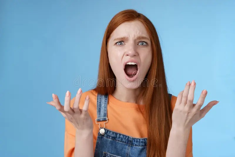 1694974842229.png