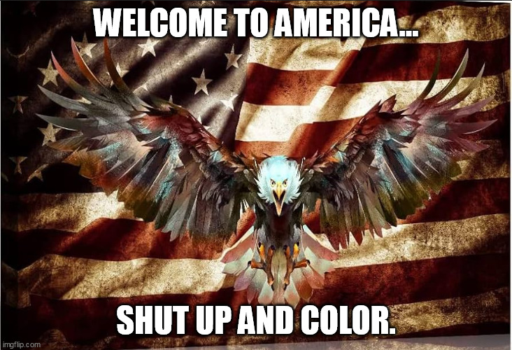 1731591162964.png