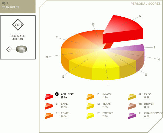 Analyst Expl Compl Innov Team Expert Exec Driver Chairperson.png