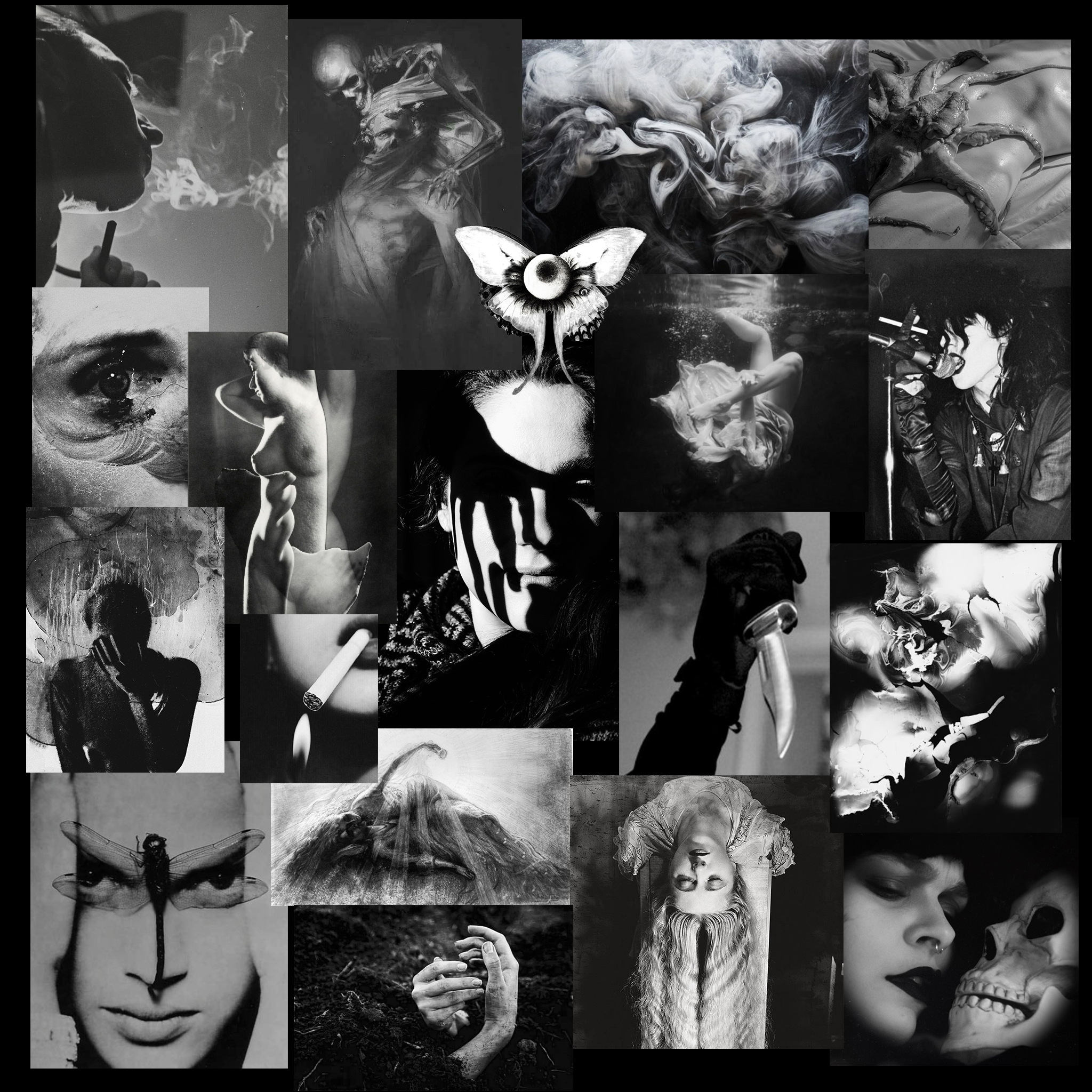 collage1.png