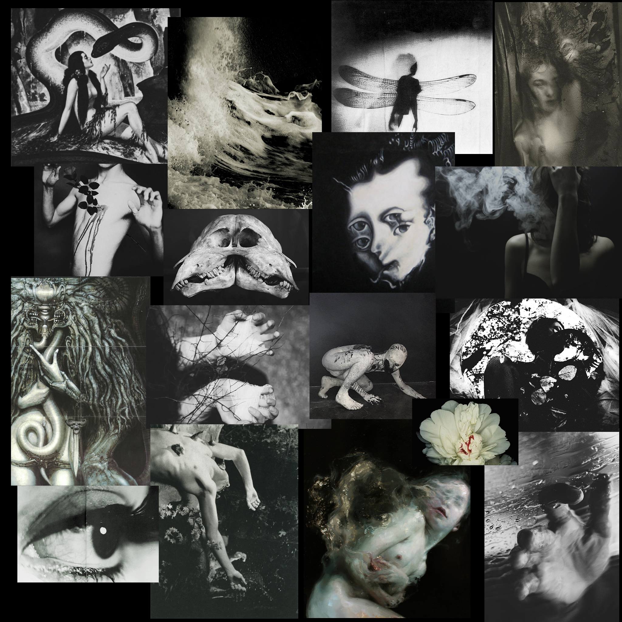 collage2.png
