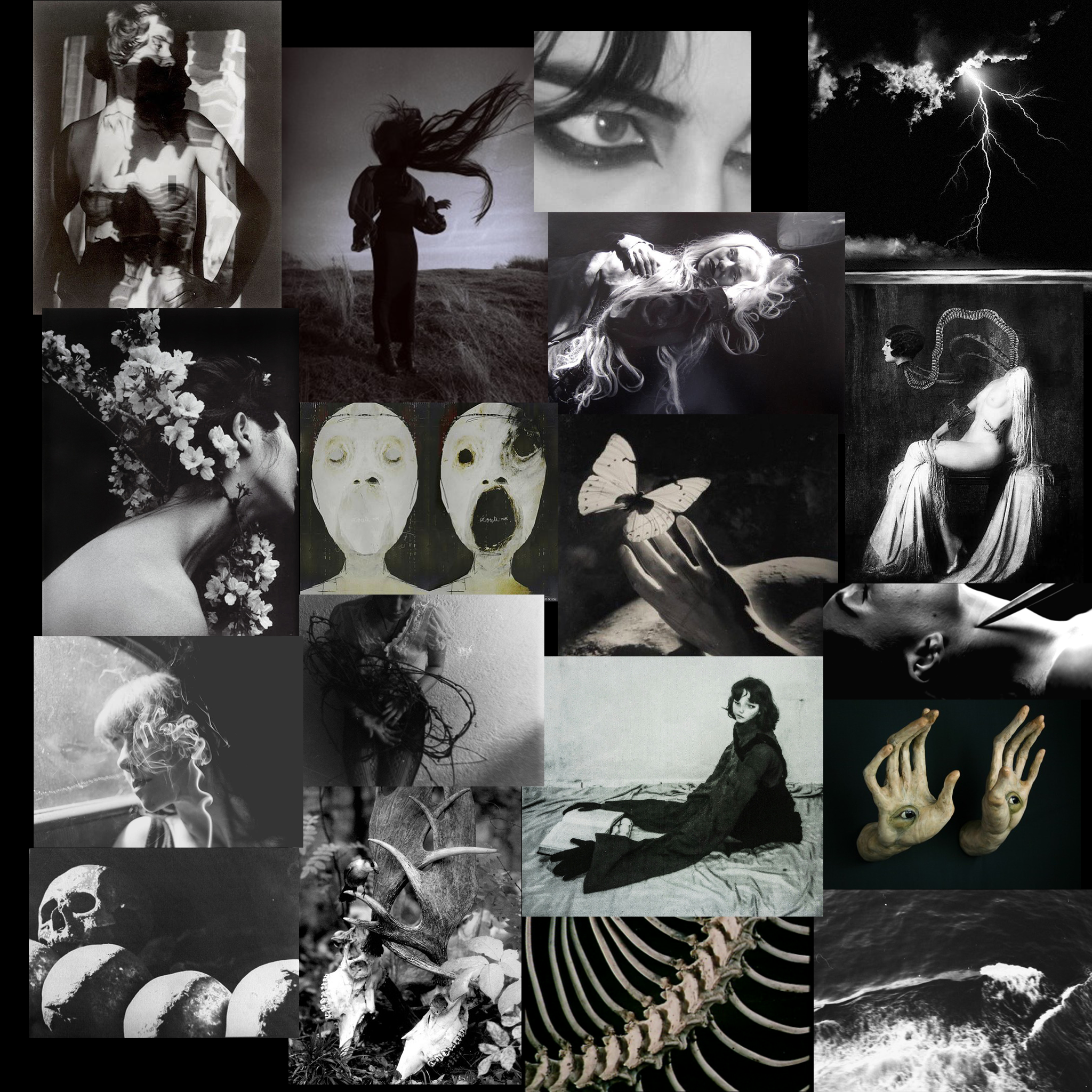 collage3.png