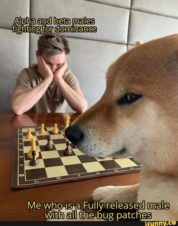 ee9c30e6ed7589c5e680a62af8735bc6f1382e9aeaf333c513d50f1e67fb3d66_1.jpg.jpg