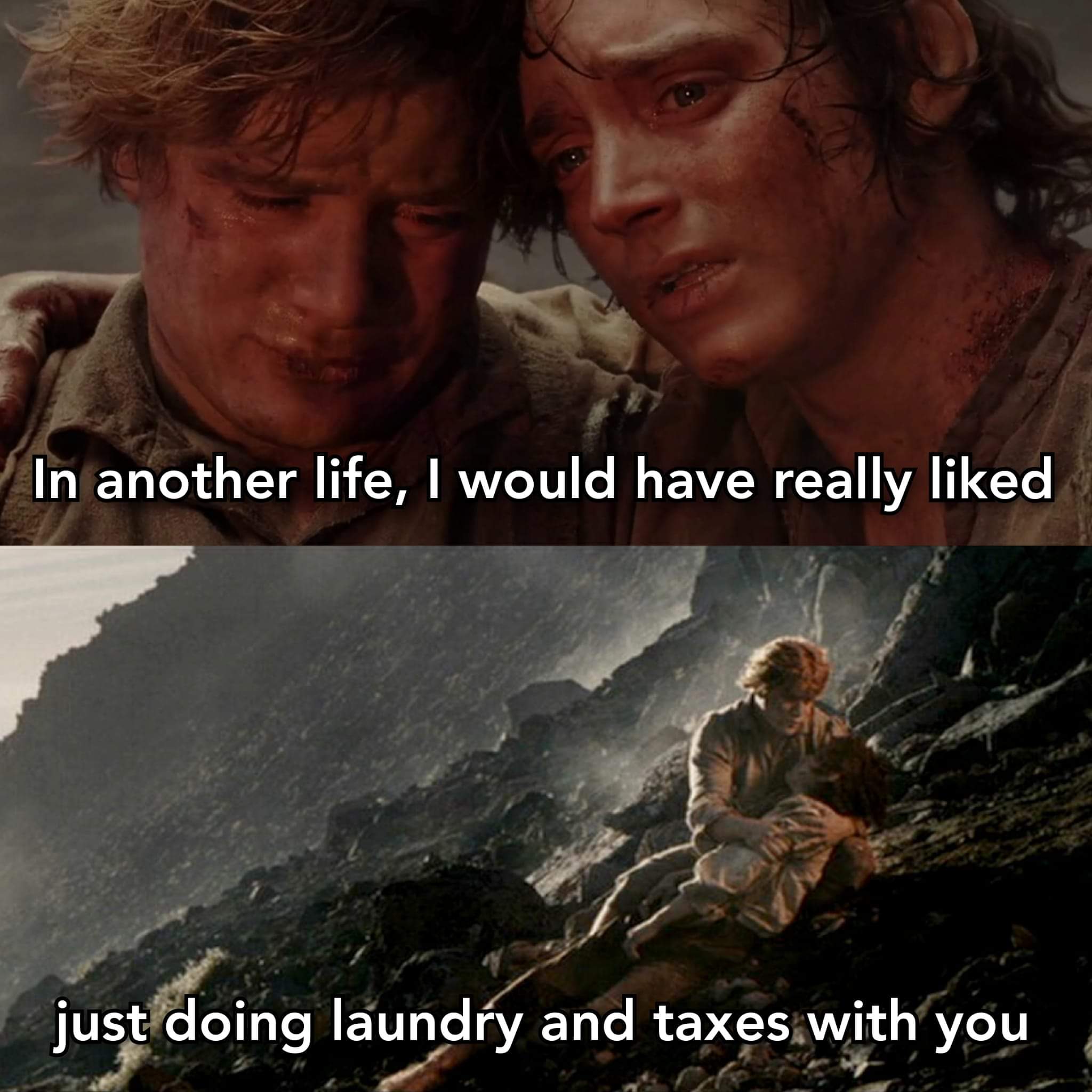 FB_IMG_1680392535069.jpg