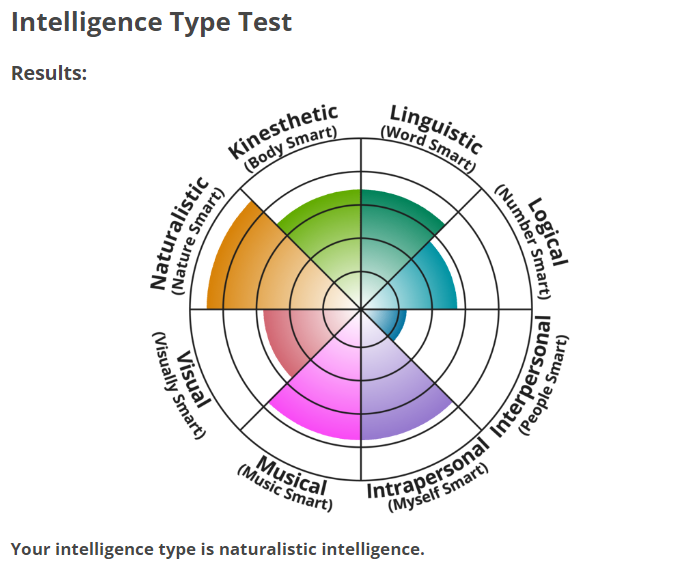 intelligence type.png
