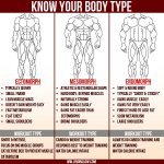 the-3-body-types_504cdf1716a7e.jpg