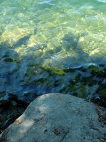 water01.jpg