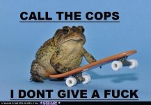 funny-pictures-toads-gonna-toad.jpg