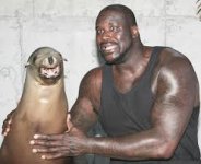 shaq.jpg