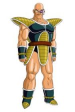 nappa.jpg