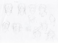 3. Male Torso Studies.jpg