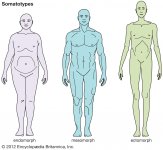 ectomorph-endomorph-somatotypes-body-types.jpg ectomorph-endomorph-somatotypes-body-types.jpg