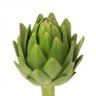 Artichoke