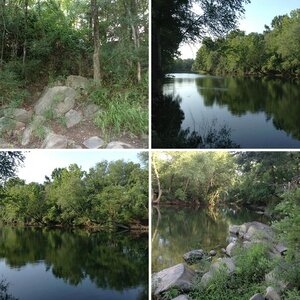My sit spot on the river