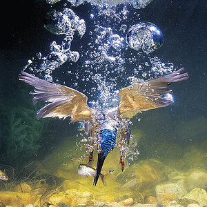 Underwater flight