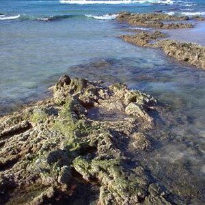 I used to live in beautiful places III Kingscliff Beach - volcanic rock pools.