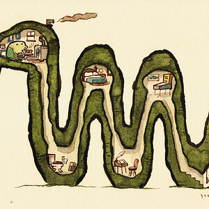 scott campbell snake house