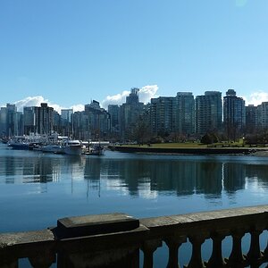 downtown from stanley park marina