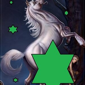 unicornfairytale
