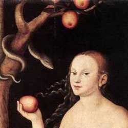 eve apple