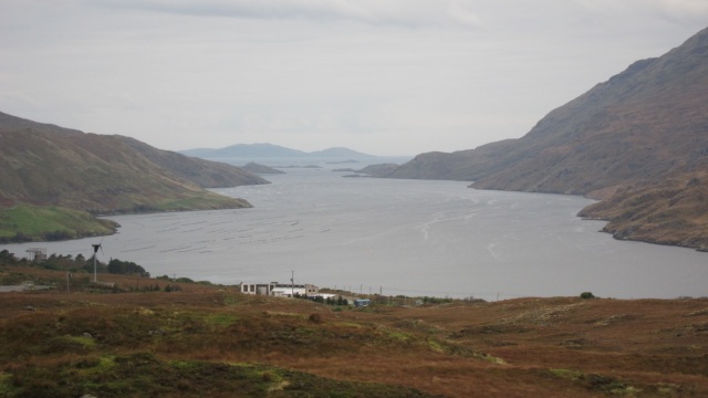 fjord