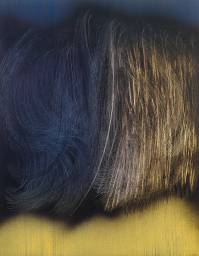 hans hartung painting 1